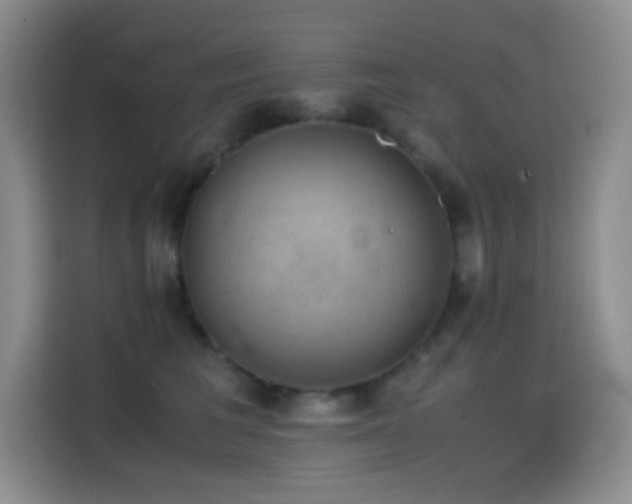 X0000114620613200910201134