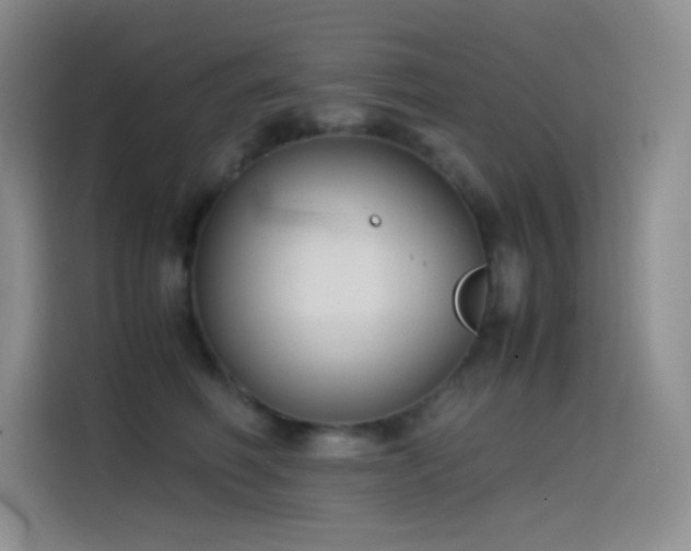 X0000114620614200910201134