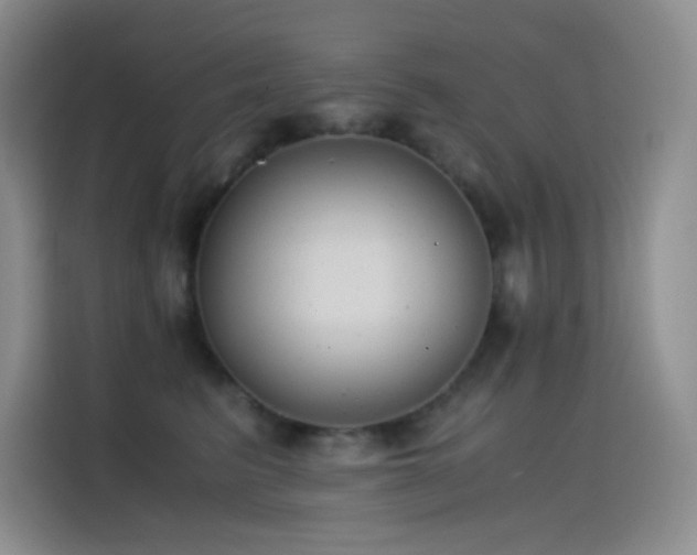 X0000114620615200910201134