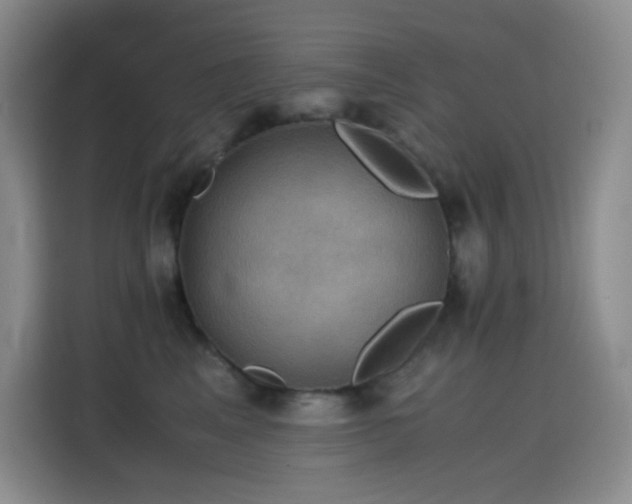 X0000114620617200910201134