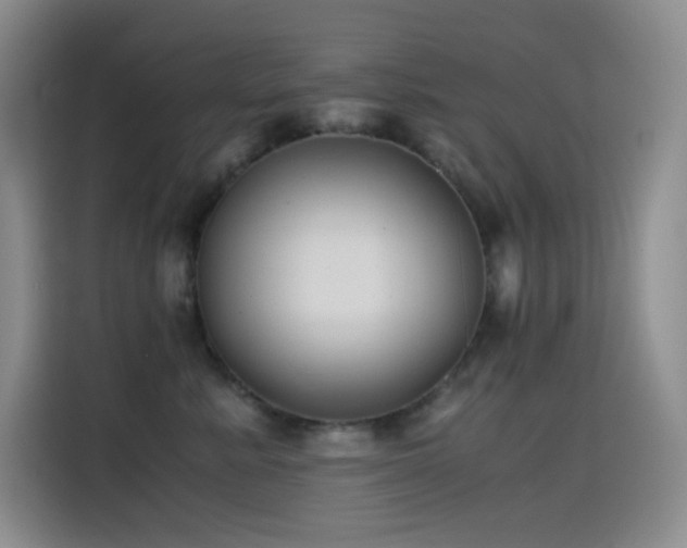 X0000114620619200910201134