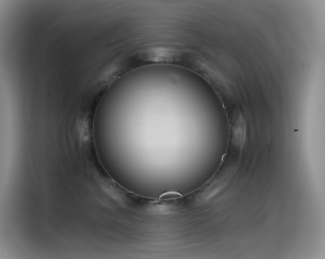 X0000114620620200910201134