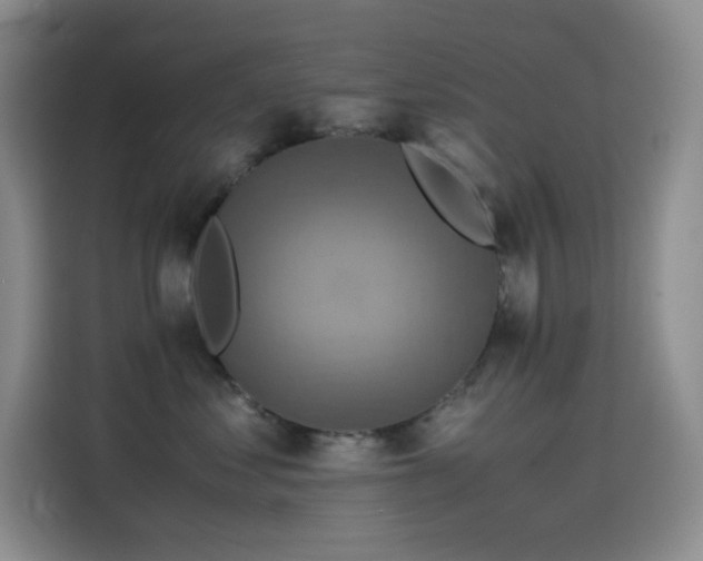 X0000114620621200910201134