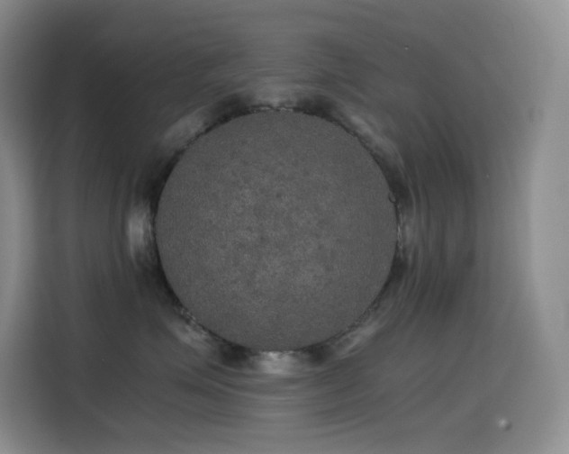 X0000114620623200910201134