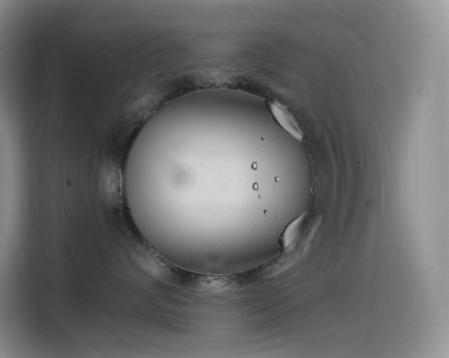 X0000114620624200910201134