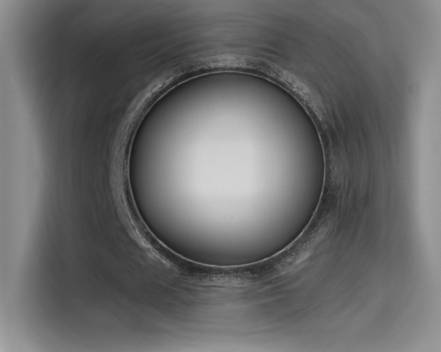 X0000114620625200910201133