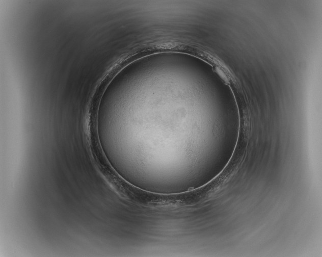 X0000114620626200910201133