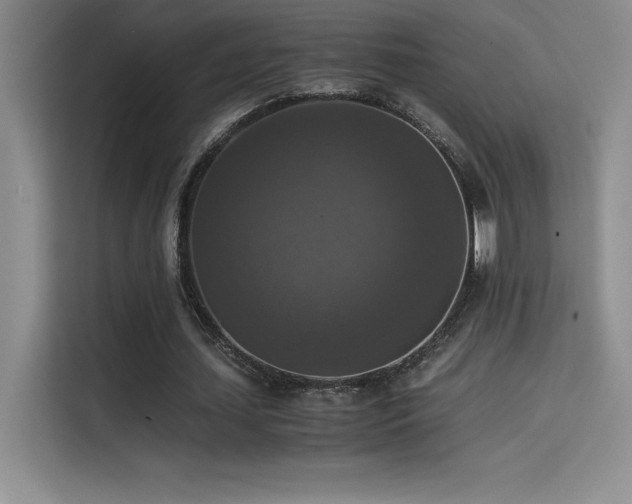 X0000114620627200910201133