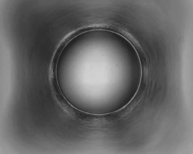 X0000114620628200910201133