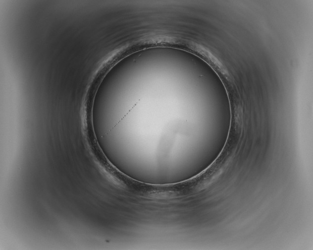 X0000114620629200910201133