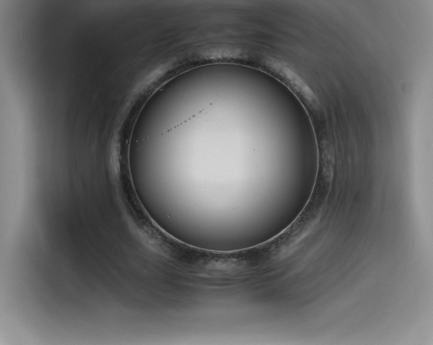 X0000114620631200910201133