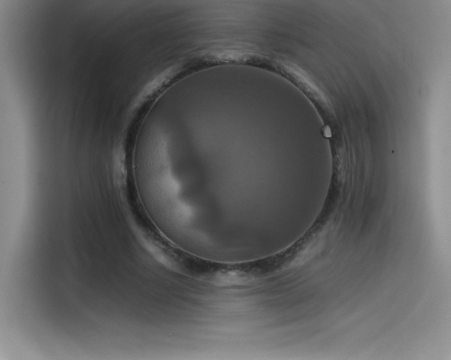 X0000114620634200910201133