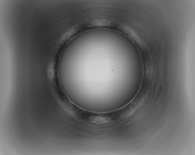 X0000114620635200910201133