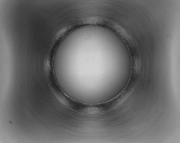 X0000114620636200910201133