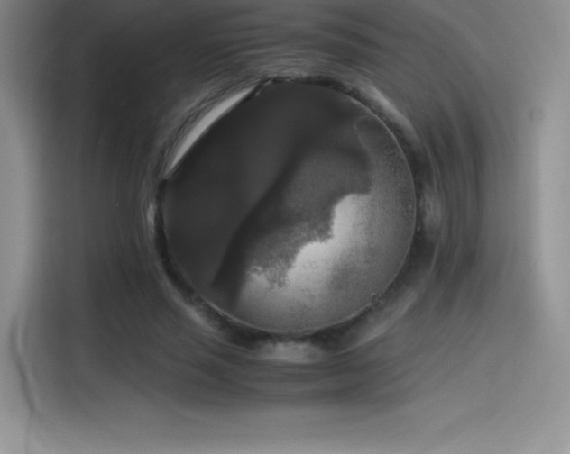 X0000114620637200910201133