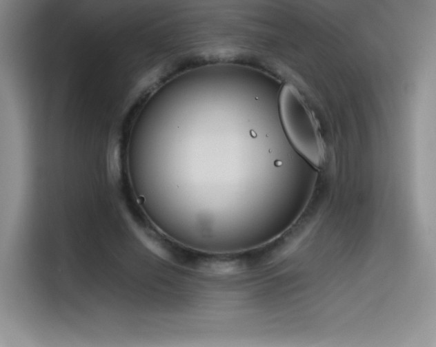 X0000114620638200910201133