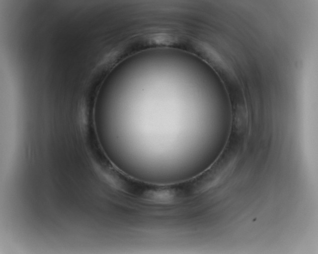 X0000114620639200910201133