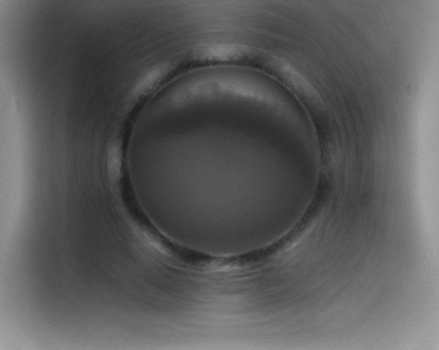 X0000114620640200910201133