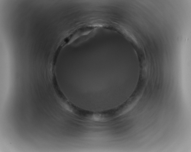 X0000114620641200910201133
