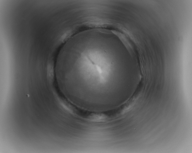 X0000114620642200910201133
