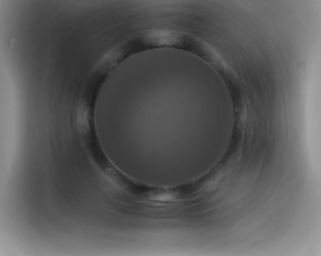 X0000114620643200910201133