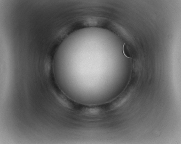 X0000114620645200910201133