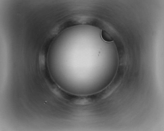 X0000114620646200910201133