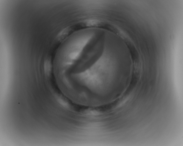 X0000114620648200910201133
