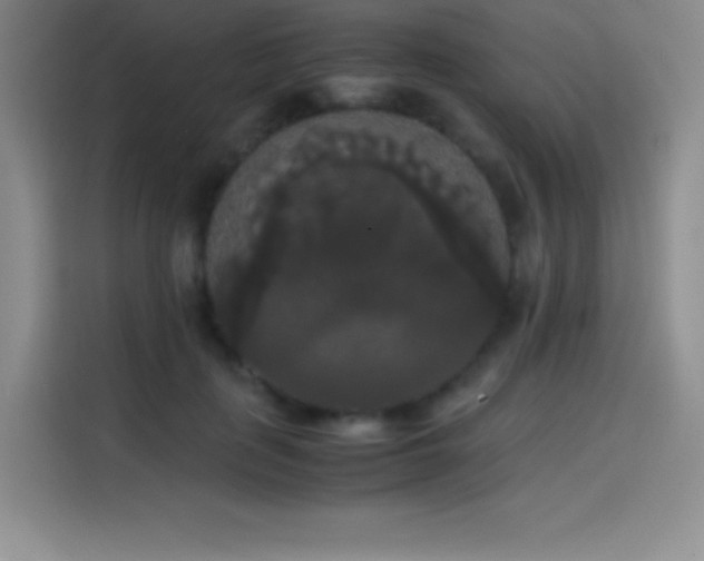 X0000114620651200910201133