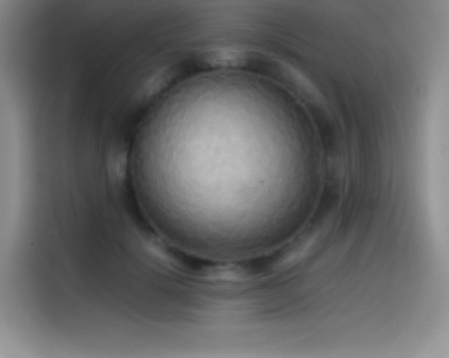 X0000114620652200910201133