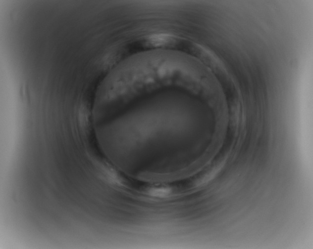 X0000114620653200910201133