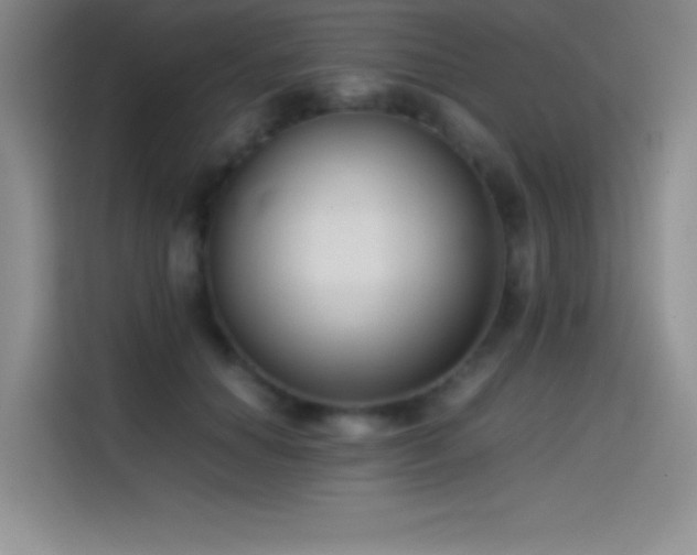 X0000114620654200910201133