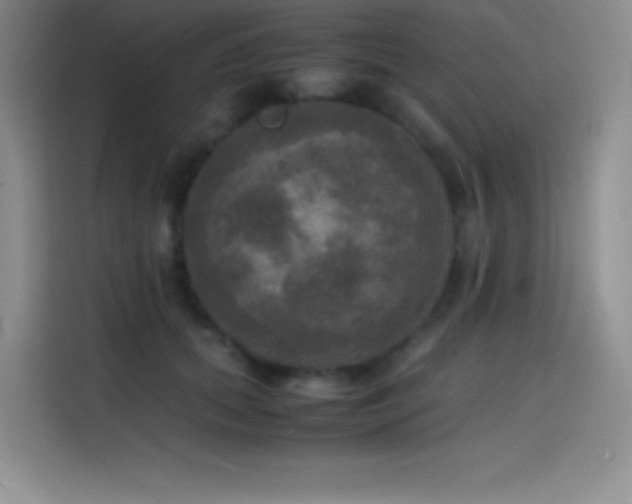 X0000114620655200910201133