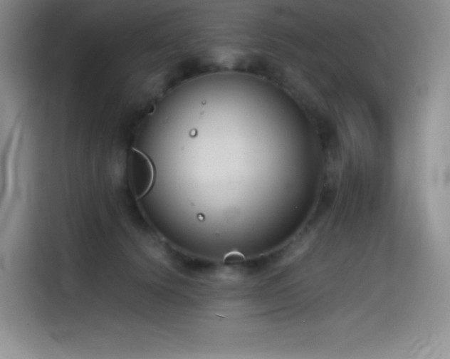 X0000114620656200910201133