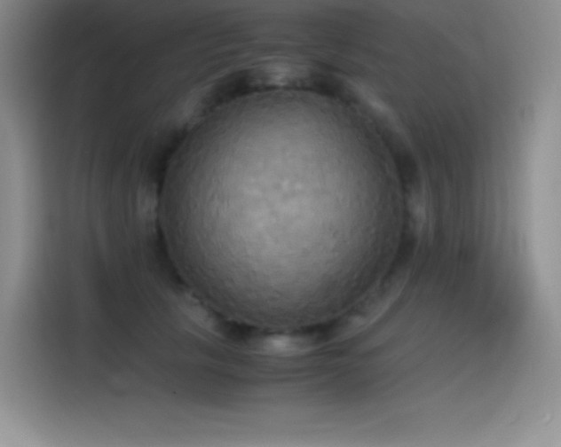 X0000114620657200910201133