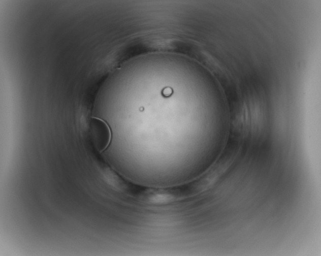 X0000114620658200910201133