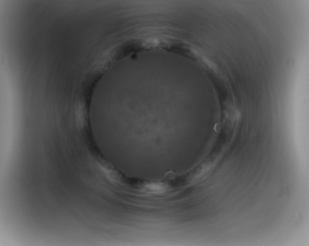 X0000114620659200910201133