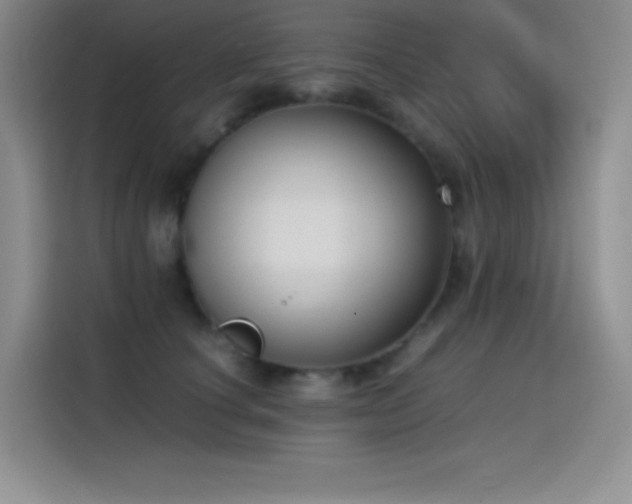 X0000114620660200910201133