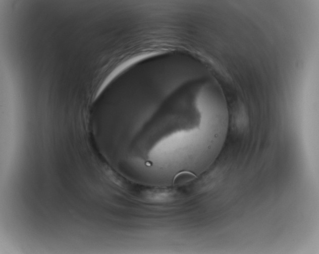 X0000114620661200910201133