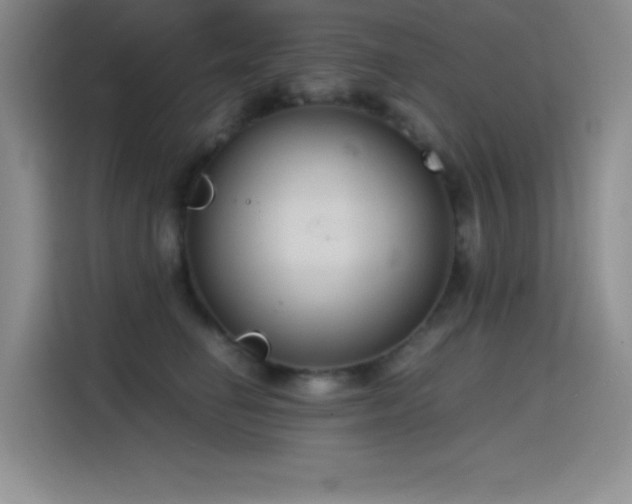 X0000114620662200910201133