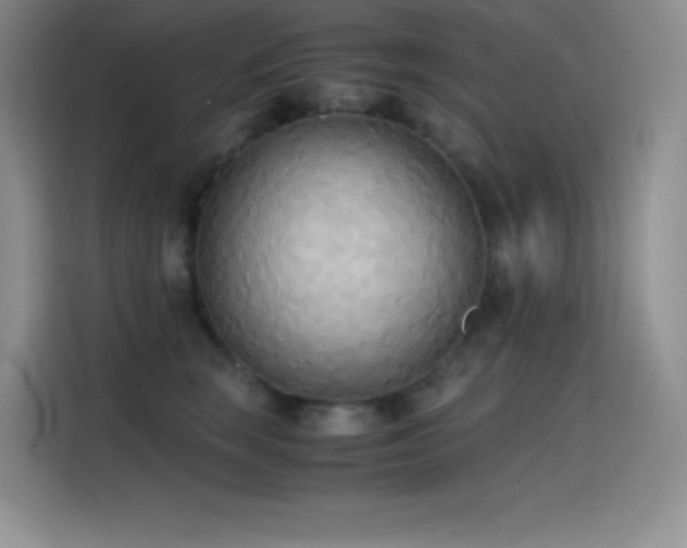 X0000114620663200910201133