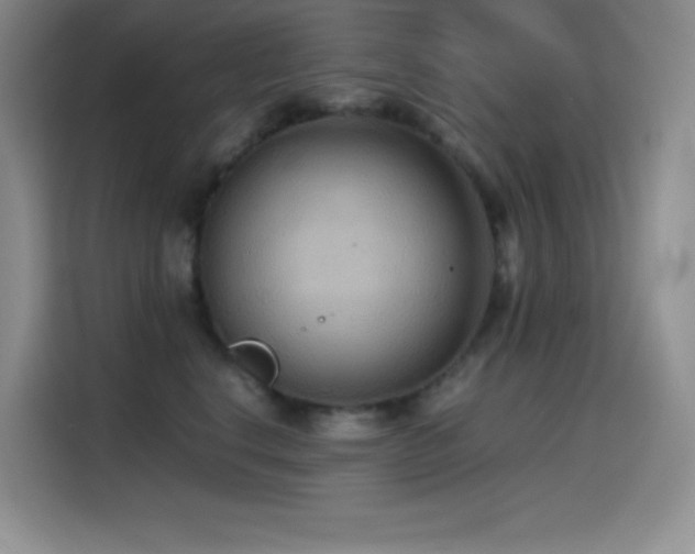 X0000114620664200910201133