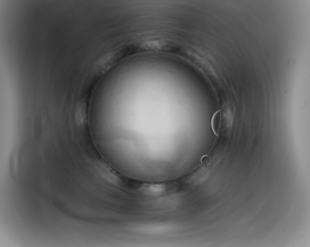 X0000114620665200910201133