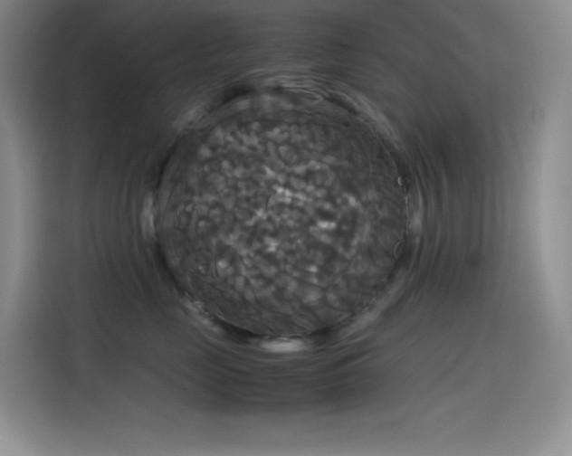 X0000114620669200910201134