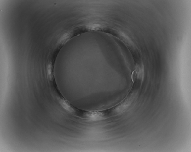 X0000114620670200910201134