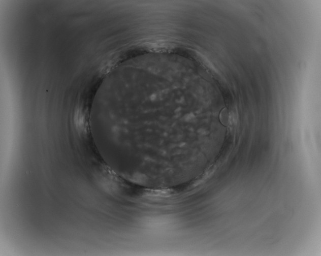 X0000114620671200910201134