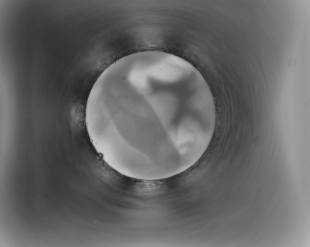 X0000114620672200910201134