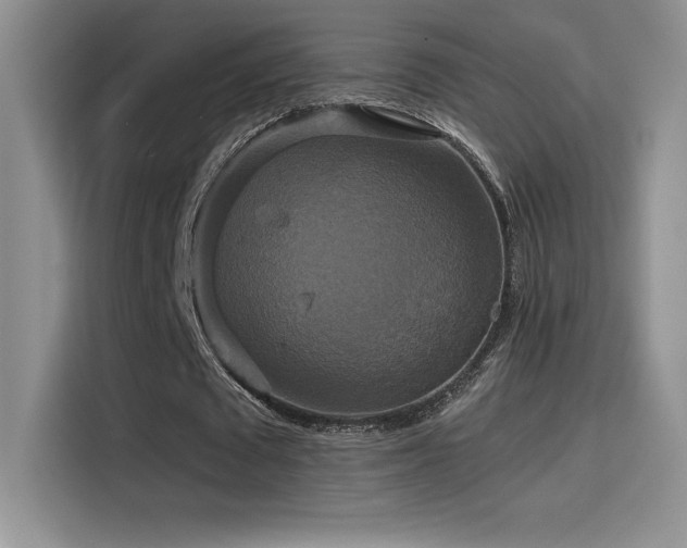 X0000114620673200910201133