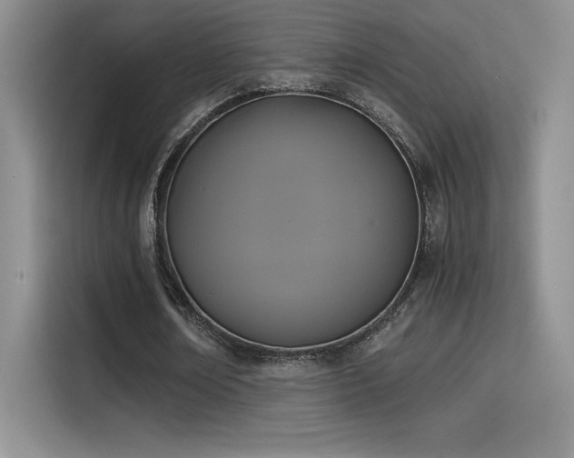 X0000114620674200910201133