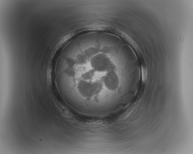X0000114620675200910201133